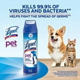 thumbnail image 3 of Lysol Pet Odor Eliminator, 15 oz, Fresh Scent (Pack of 3), 3 of 5