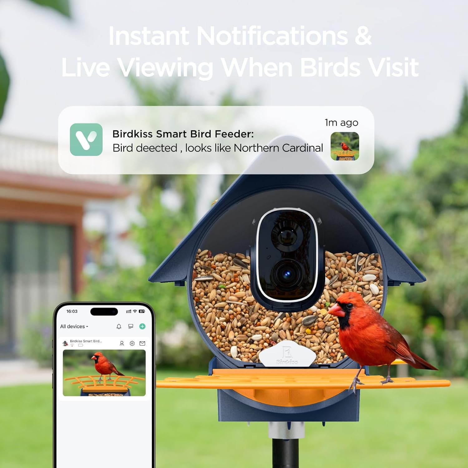 Birdkiss Smart Bird Feeder with Camera, 1080P HD Bird Watching Camera with AI Identify for Bird Lover