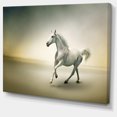 thumbnail image 2 of Cheval Blanc en Mouvement - Impression sur Toile Animal, 2 of 3