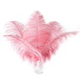 thumbnail image 1 of Plumas de avestruz rosa Ballinger, 12 unidades, 35 a 40 cm, tamaño grande, 1 of 8