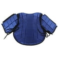 thumbnail image 4 of Kids Equestrian  Vest, Blue Equestrian Protective Vest Shock Absorption Comfortable With Kids For Horse Riding Training For All Seasons CS,CM,CL, 4 of 8