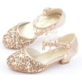 thumbnail image 3 of Little Kids Girls Dress Pumps Glitter Sequins Princess Low Heels Mary Jane Party Dance Shoes Rhinestone Sandals, 3 of 5