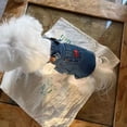 thumbnail image 2 of Adorable Pet Clothes for Cats & Small Dogs - Charming Spring & Autumn Wear, 2 of 3