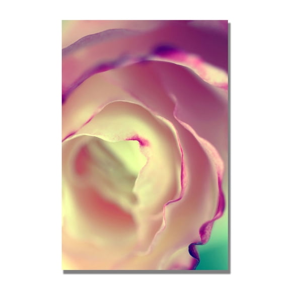Trademark Fine Art "Flavors of Summer" Canvas Art by Beata Czyzowska Young