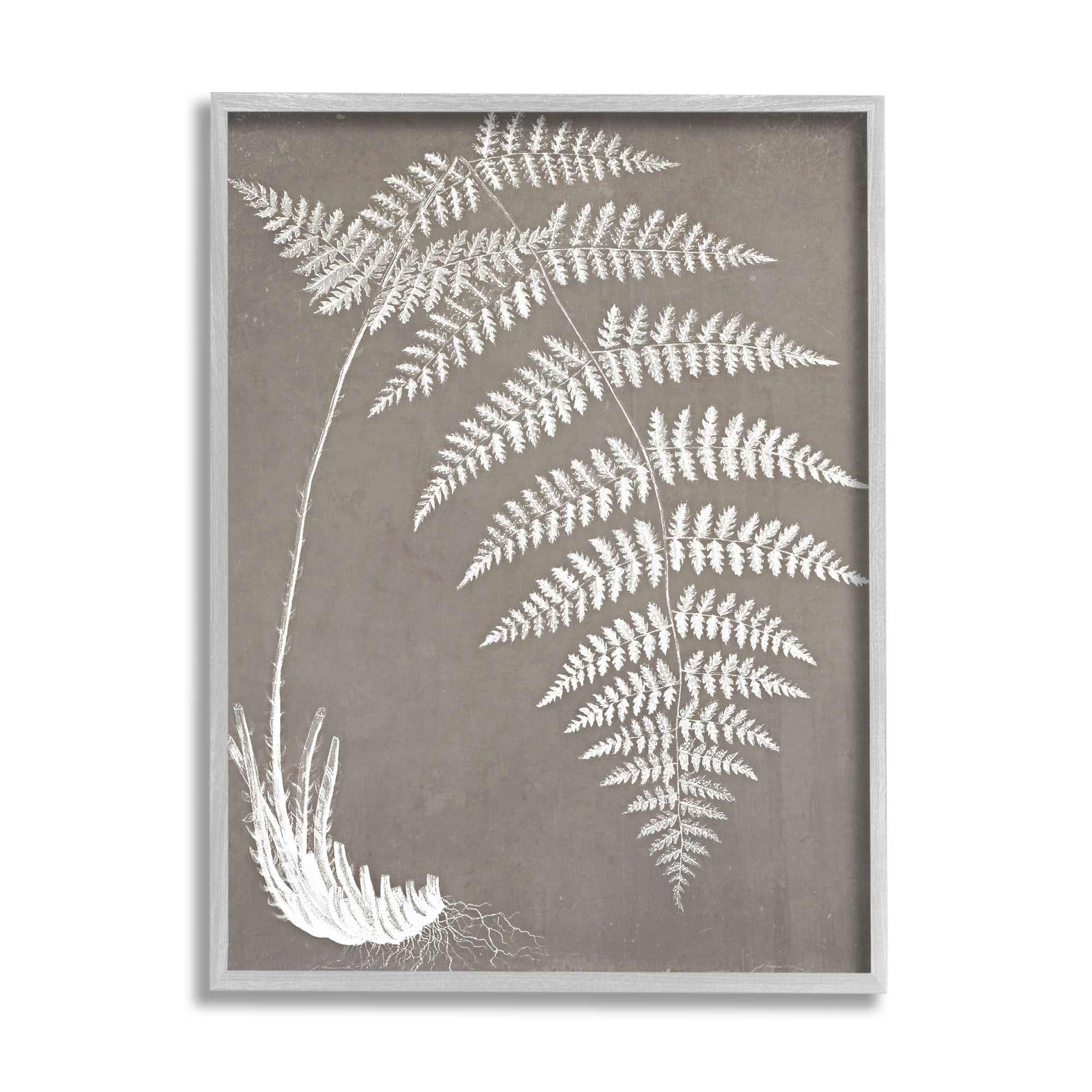 Stupell Industries Fern Leaves Roots Growing Botanicals Neutral Tones Graphic Art Gray Framed Art Print Wall Art, Design by Graffitee Studios