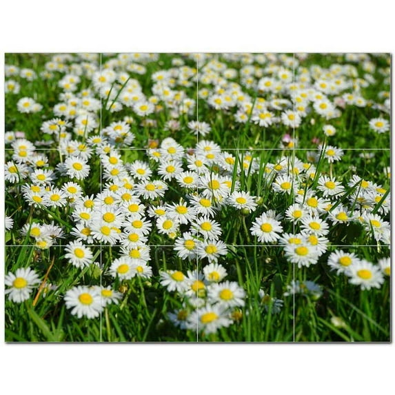 Flowers Ceramic Tile Mural Kitchen Backsplash Bathroom Shower 402439-S43