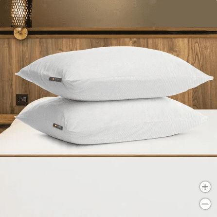 Swiss Comforts Embossed Tencel 2 Pack Pillow Protectors King Size