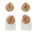 thumbnail image 4 of Youkk Silicone Ear Model Simulation Tool Ear Display Three-Dimensional for Teaching Instruction Left Ear/Rack, 4 of 6