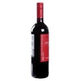 thumbnail image 2 of Vino Tinto Cono Sur Bicicleta Cabernet Svg MEDIUM SWEET de 750 m Cono Sur Bicicleta 2023, 2 of 3