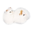 thumbnail image 4 of Juguete de Gato Relleno Realista, Pequeño Gato de Peluche Lindo 2 Pezas Realista Para Oficina, 4 of 7