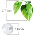 thumbnail image 3 of Betta Fish Leaf Pad - Improves Betta's Health By Simulating The Natural Habitat, 3 of 5