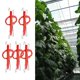 thumbnail image 3 of Soporte para Plantas Baoblaze Ganchos de Escalada 10 m, 3 of 8