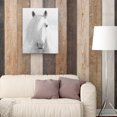 thumbnail image 2 of Masterpiece Art Gallery Natural Blonde Horse by Belle Maison Canvas Photo Art Print 22" x 28", 2 of 4