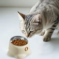 thumbnail image 2 of Bol d'Alimentation pour Chat avec Base Robuste Base Surélevée pour Intérieur et Extérieur Bol Unique en Acier Inoxydable Bols pour Chat Col Surélevé, 2 of 6
