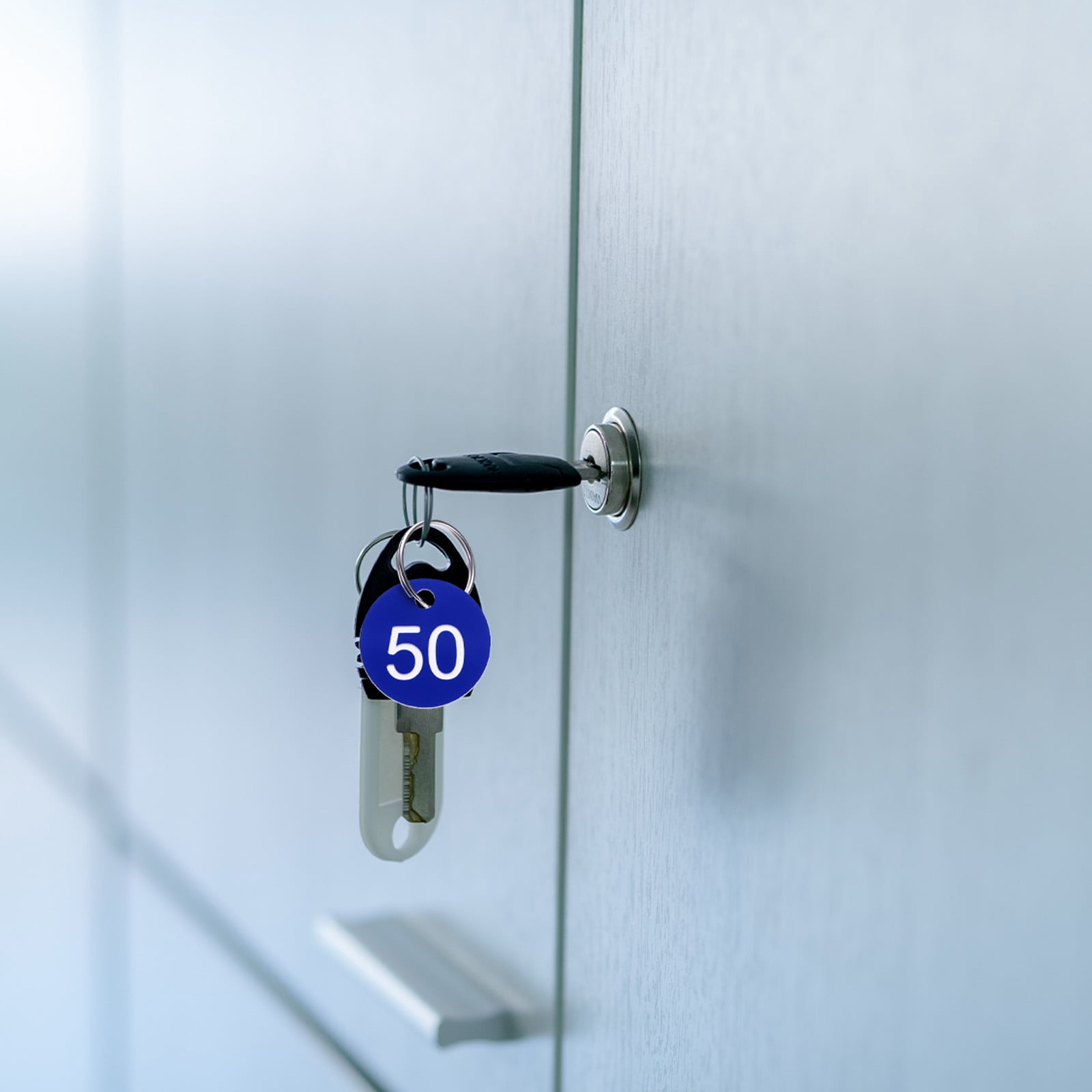 Uxcell Numbers Key Tags, 1-100 Plastic ID Hang Tag with Metal Ring Numbered Tags for Dormitory Key Chain Box Cabinet Lockers(Blue & White)