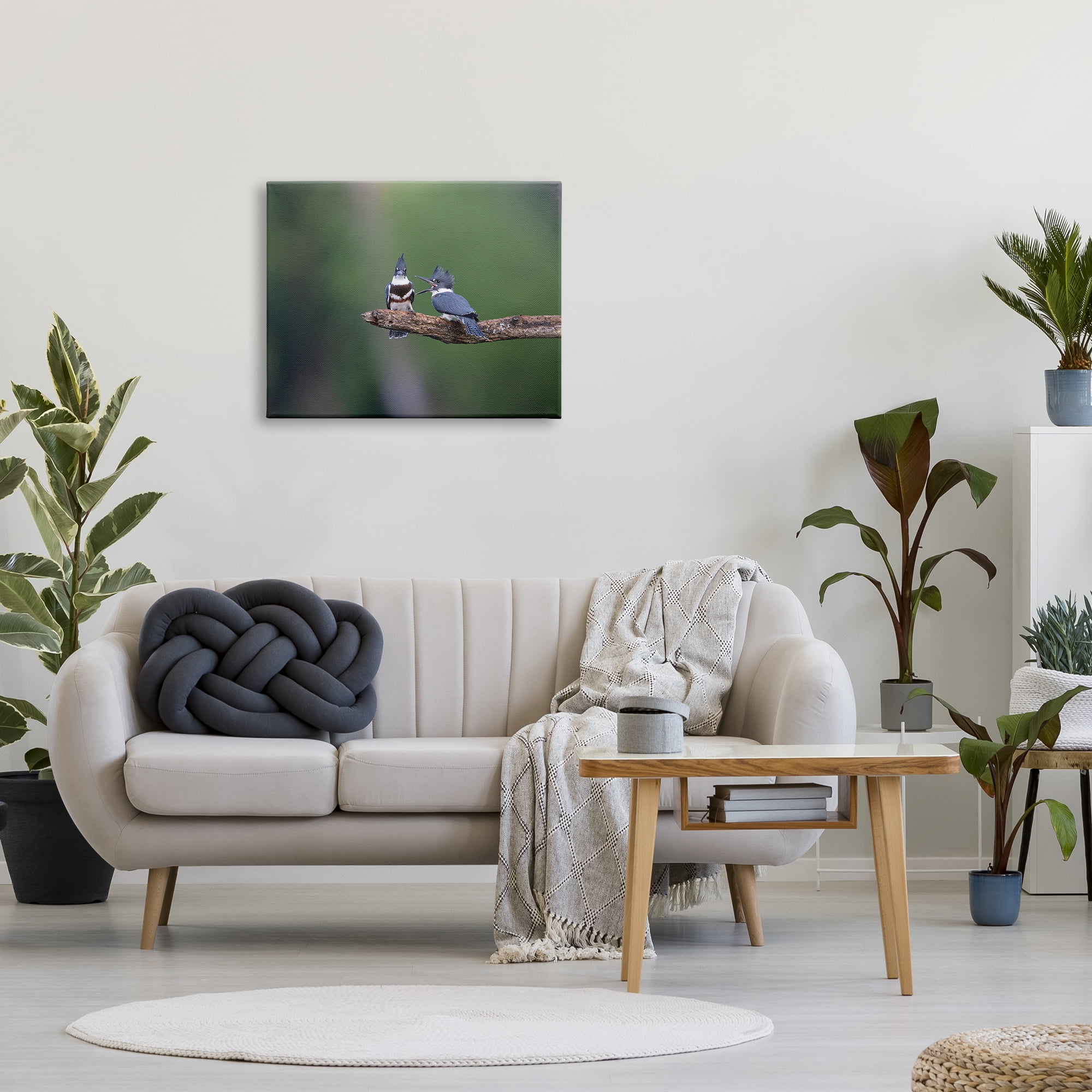 Stupell Industries Blue Jays on Branch Animals & Insects Photography Gallery Wrapped Canvas Art Print Wall Art, 30 x 24