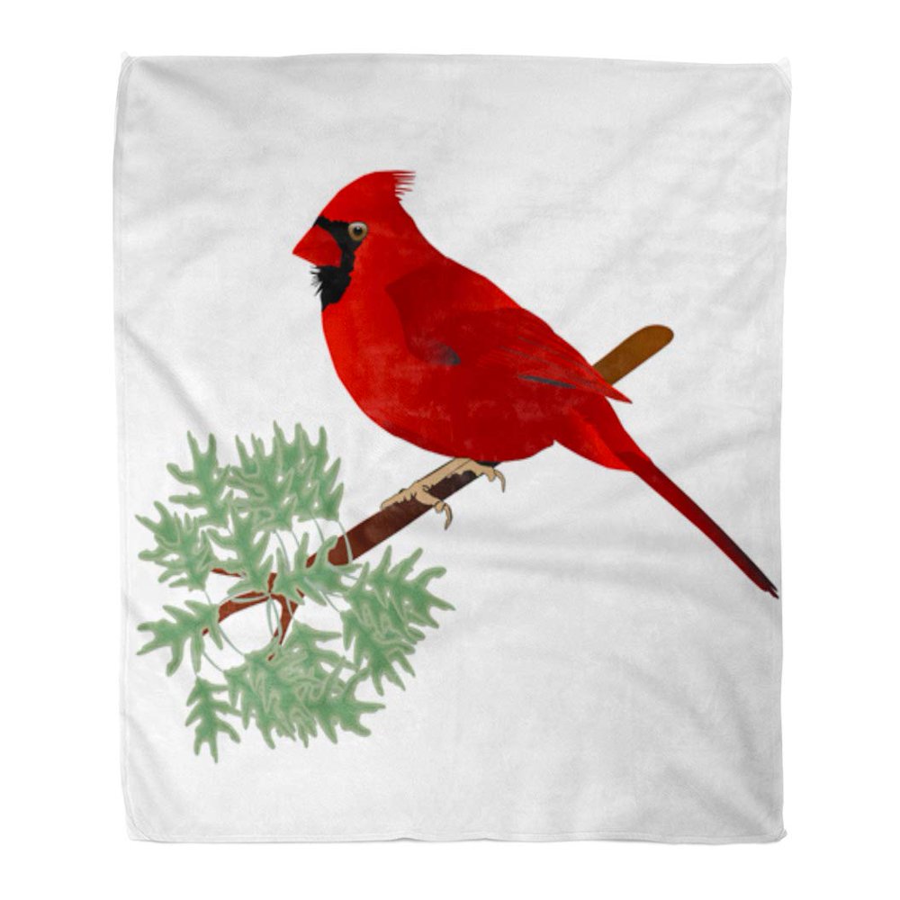 ASHLEIGH Throw Blanket 50x60 Inches Red Beautiful Male Cardinal on