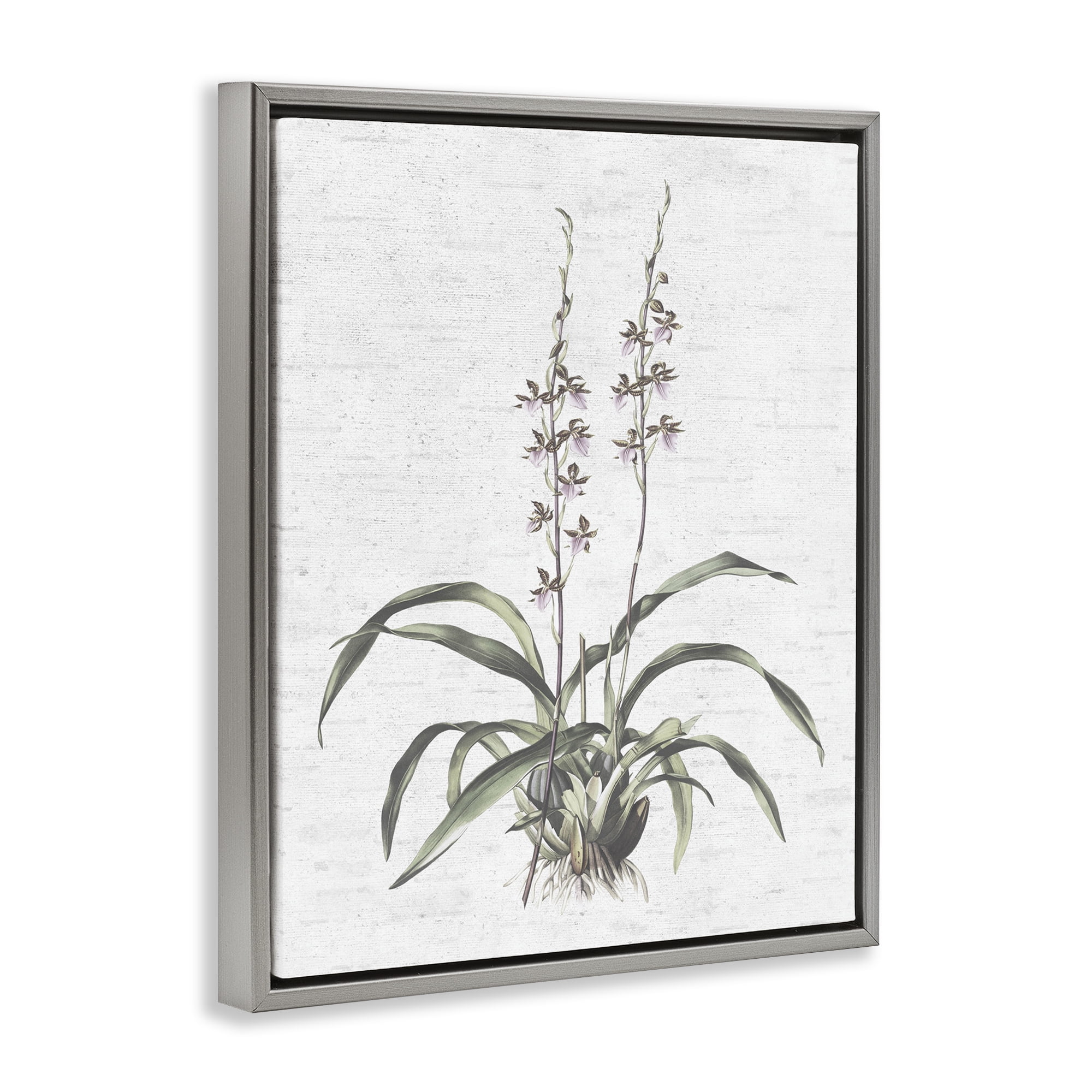 Stupell Industries Blooming Herb Bud Botanical & Floral Painting Gray Floater Framed Art Print Wall Art, 17 x 21