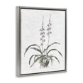 thumbnail image 3 of Stupell Industries Shabby Chic Blooming Herb Bud Gray Floating Frame Canvas Art, 17 x 21, by Lettered and Lined, 3 of 8