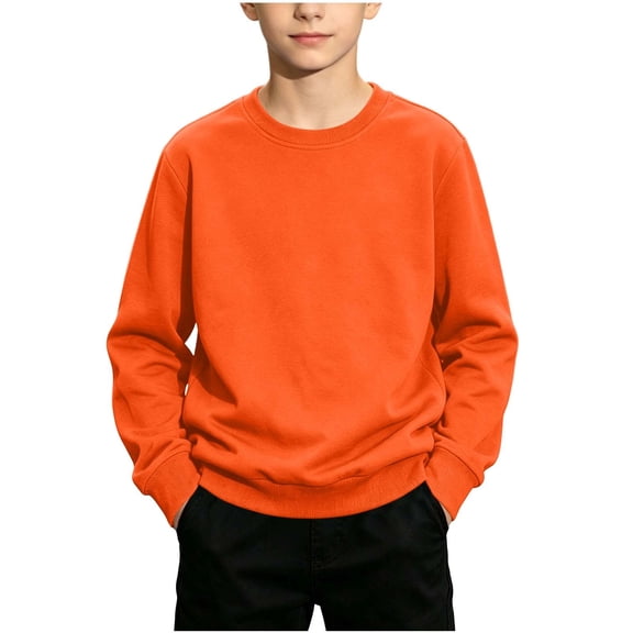 Enjoytime Crewneck Sweatshirt Toddler Boys Long Sleeve Pullover Tops Fall Lightweight Casual Kids Clothes 1-13Y