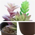 thumbnail image 3 of 3 uds suculentas de simulación en macetas pequeños adornos creativos plantas verdes artificiales, 3 of 5