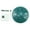 Malachite green, variant on Gieenan Steel Tongue Drum 4.5In 8 Notes Handpan Drum Percussion Instrument with Mallets