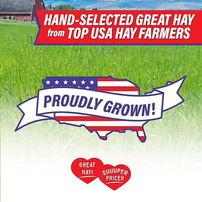 Small Pet Select - Value Choice Timothy Hay, 8 Pound (Pack of 1)
