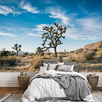 wall26 - Beautiful Desert Landscape - Removable Wall Mural | Self-Adhesive Large Wallpaper - 100x144 inches