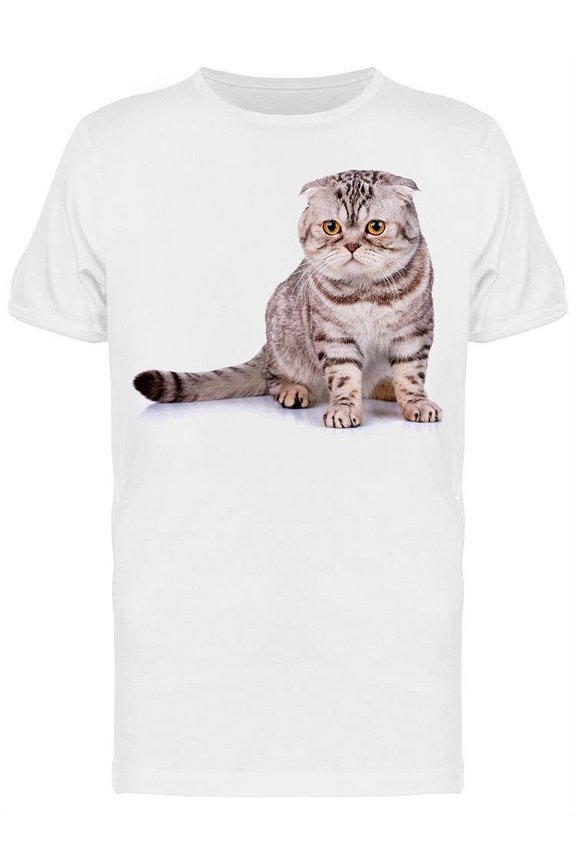 Kitten Sitted On His Back Legs T-Shirt Men -Image by Shutterstock Men T-Shirt, Male Large