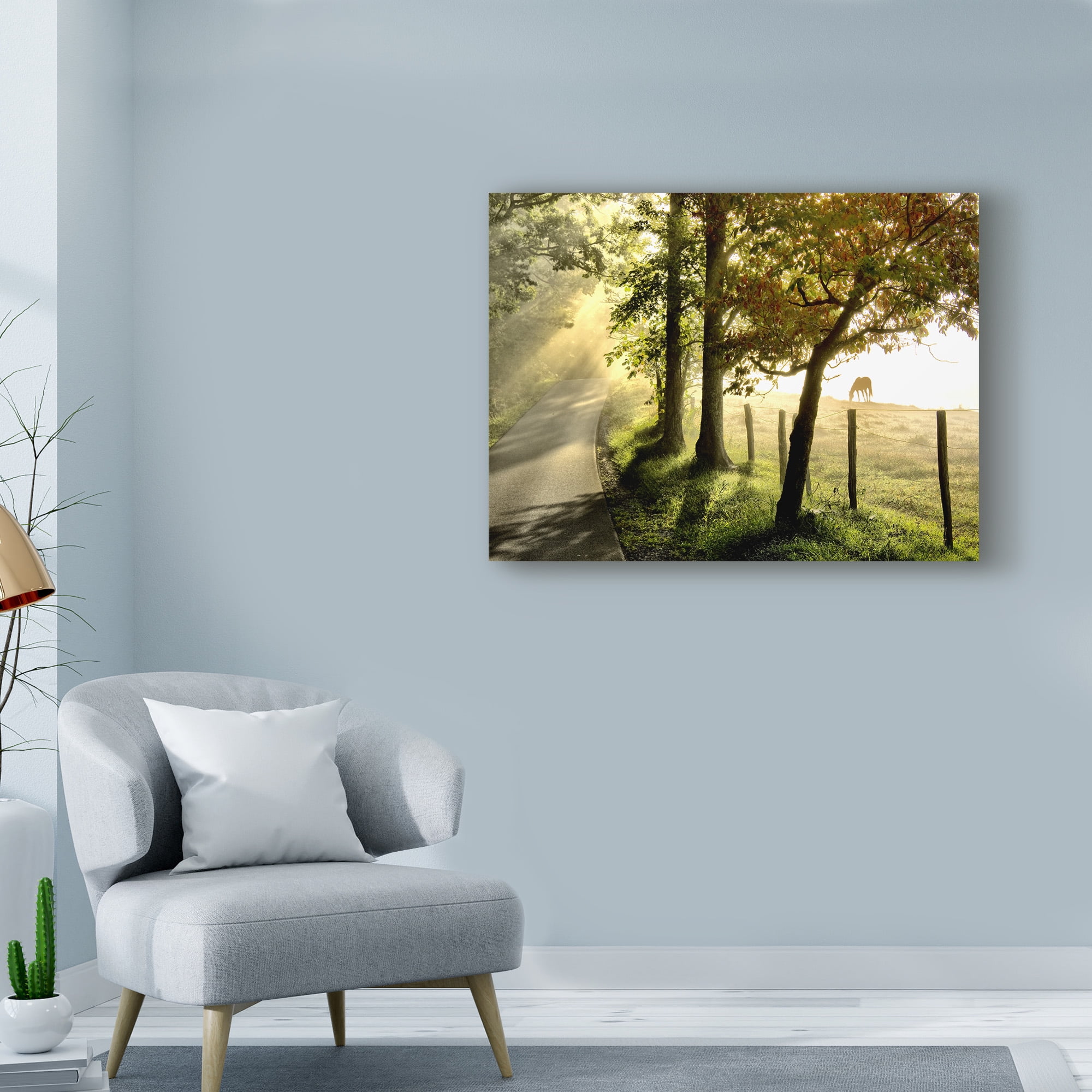 Trademark Fine Art 'Morning Graze II' Canvas Art by Danny Head