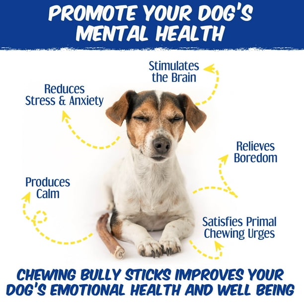 Are Bully Sticks Good For Teething Puppies