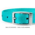 thumbnail image 2 of Jeffers Solid Web Nylon Dog Collar with Nickel Plated Hardware, 5/8"Wx14"L - Adjustable Durable Nylon Pet Collar for Small to Medium Dog, Perfect for Walking, Training, Travel, & Outdoor - Turquoise, 2 of 6