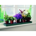 thumbnail image 2 of Tierra Garden GP71 Windowsill Self Watering Plant Tray, 2 of 2
