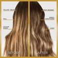 thumbnail image 3 of L'Oréal Paris Le Color Gloss, One Step Hair Gloss, 3 of 7