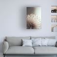 thumbnail image 2 of Canvas Wall Art - Treechild 'Glassy Flower' Wall Art for Living Room, Bedroom, or Office D?cor by Trademark Fine Art - 22 x 32 Inches, 2 of 4