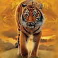 thumbnail image 2 of Orange 100% Cotton Rising Sun Tiger Novelty T-Shirt, 2 of 2