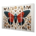 thumbnail image 2 of Designart "Tiny Wonders Insects Bugs wall decor III" Animals Metal Art Print Set, 2 of 5