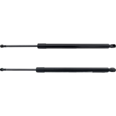 Set Of 2 For Toyota For Rav4 Liftgate Lift Supports Driver & Passenger Side (2016-2018)