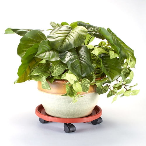 Rolling Potted Plant MoversMediumTerra Cotta