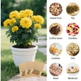 thumbnail image 4 of HYG Small Kraft Bags with Clear Window 100 Pcs Resealable Coin Envelopes Bags 3.5 x 5.5 inches Storage Pouches Sealing Packaging Paper Bag for Party Favor Food Sample Bag, 4 of 4