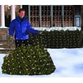 thumbnail image 4 of Tupkee Christmas Light Net  150 Clear Warm Mesh Lights - Random Shimmering Twinkle Lights - 21 of 150 Lights Twinkle - 4 ft x 6 ft  Outdoor / Indoor  Net Lights for Bushes, Hedges or Trees, 4 of 4