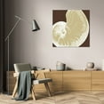 thumbnail image 3 of N Harbick 36x36 Gallery Wrapped Canvas Wall Art Titled - Natural Shell II, 3 of 4