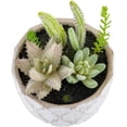 thumbnail image 2 of 5.9 X 7.9 Inch Artificial Succulent Arrangement in Concrete Planter - Light Gray Round Fake Plant for Table, Shelf, or Centerpiece Decor, 2 of 3