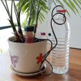 thumbnail image 4 of 4pcs Potted Plant Self Watering Stake Automatic Drip Spike Irrigation, 4 of 5
