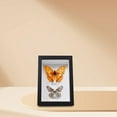 thumbnail image 4 of WHAMVOX 2Pack Rustic Design Wooden Shadow Box for Wall Display 16.60X11.60X6.50CM, 4 of 8