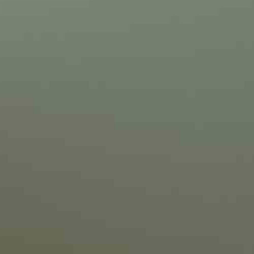 Graco Toddler Safety Guardrail (Dowels), Olive