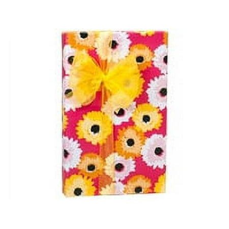 Daisy Inspirations Birthday / Special Occasion Gift Wrap Wrapping Paper-16ft