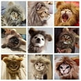thumbnail image 4 of LNKOO Lion Mane Wig for Cats and Dogs, Funny Pet Cat Costumes for Christmas, Parties, Photo Shoots and Gifts, Furry Pet Clothing Accessories, 4 of 7