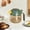 Green, variant on Glass Spice Jar with Lid - Leak Proof Airtight Seasoning Container - Clear Glass Kitchen Storage for Salts peppers sHerbs - Large Opening Shaker Bottle for Cooking Baking BBQ Camping - Single Jar