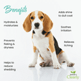 thumbnail image 2 of SKIN & COAT for Dogs, Nutrient Rich Oil To Relieve Dry Itchy Skin, 2 of 7